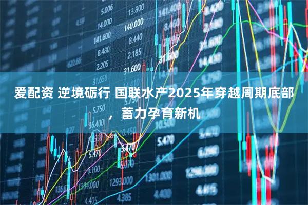 爱配资 逆境砺行 国联水产2025年穿越周期底部，蓄力孕育新机