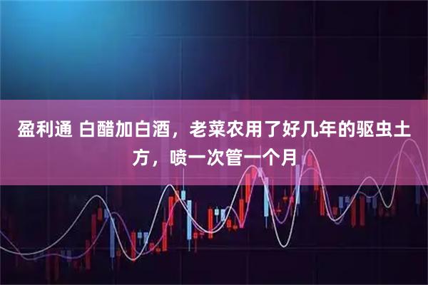 盈利通 白醋加白酒，老菜农用了好几年的驱虫土方，喷一次管一个月